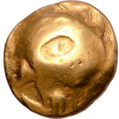 Stater Muschel Type