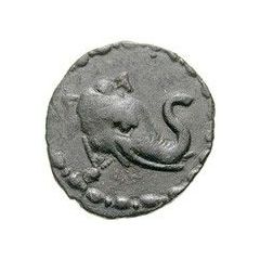 Æ Unit - Maues Baktrian Elephant Type