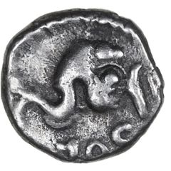 Silver Minim - Solidus Dolphin