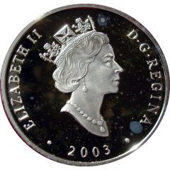 20 Dollars - Elizabeth II Niagara Falls
