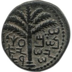 Middel bronze - Simeon bar Kosevah Year One