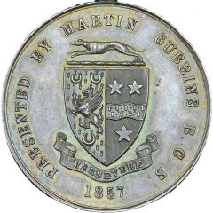 Award - Victoria Gubbins Medal, silver