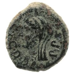 Æ - Augustus P I SP D V SP IIVIR C I C