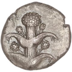 Tetradrachm