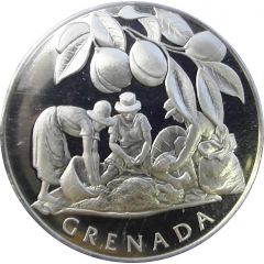 Medal - United Nations Grenada