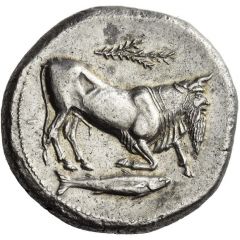 Tetradrachm