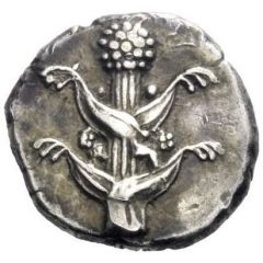 Drachm