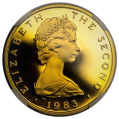 1 Pound - Elizabeth II Peel, Gold Proof Piedfort