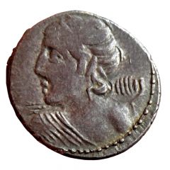 Denarius Licinii: Lucius Licinius Macer