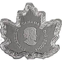 10 Dollars - Elizabeth II Canada Geese