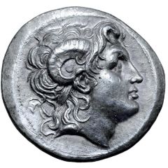 Tetradrachm - Lysimachos