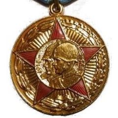 Medal - Fifty Years of Armed Forces