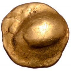 1/8 Stater Muschel Type