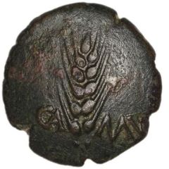 Gold Plated Stater - Cunobelin Cunobelinus Plastic B Type Contemporary Counterfeit