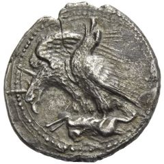 Drachm