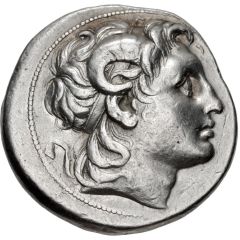 Tetradrachm - Lysimachus Cius