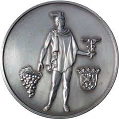 Pfälzischen Wirtschaft Medal