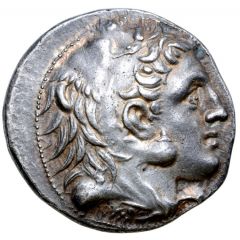 Tetradrachm - Antigonos II Gonatas Pella