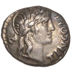 Silver Unit - Tincomarus Tincomarus Eagle