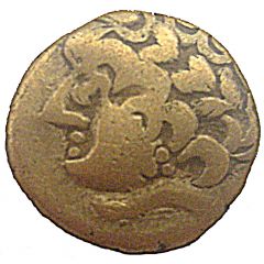 1/4 Stater with flowering branch
