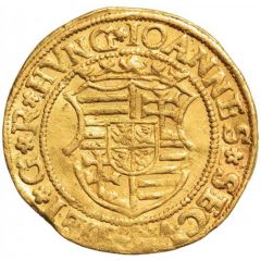 Florin - János Zsigmond