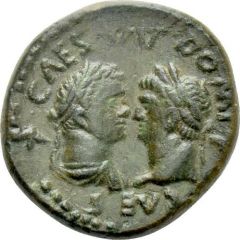 Æ23 - Titus and Domitian OL IVL AVG CASSANDRENS, Cassandrea