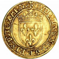 Gold Ecu with sun of Provence - Louis XII 4th type