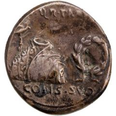 Denarius - Augustus CAESARI AVGVSTO