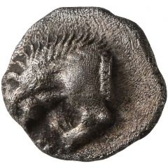 Tritartemorion