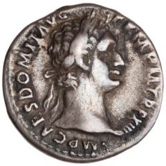 Denarius - Domitian IMP XXII COS XVII CENS P P P, Minerva