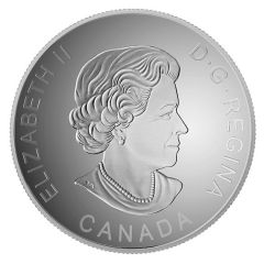 25 Dollars - Elizabeth II Canadian Baseball