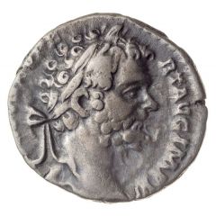 Denarius - Septimius Severus P M TR P IIII COS II P P, Minerva