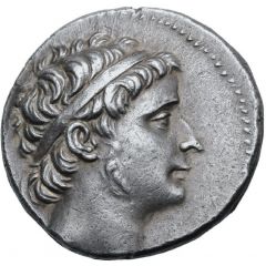 Tetradrachm - Seleukos II Kallinikos Antioch on the Orontes