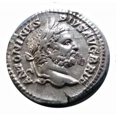 Denarius - Caracalla P M TR P XIIII COS III P P, Pax