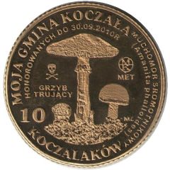 10 Koczalaków Koczala