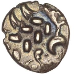 Gold Stater Sunflower