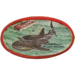 Token - Royal Desserts Fish #36 Whale Shark