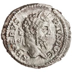 Denarius - Septimius Severus P M TR P XVI COS III P P, Salus