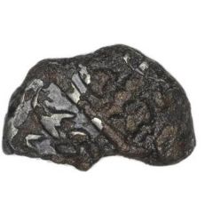 Silver Plated Stater Spread Tail Contemporary Counterfeit