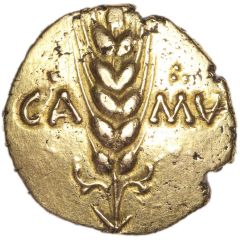 Gold Stater - Cunobelinus Wild A Decorated