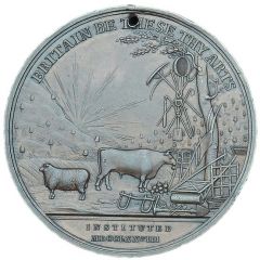 Award - George III Agricultural Society Richmondshire, bronze