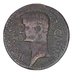 Dupondius - Tiberius TI CAESAR AVGVSTVS , Syrtica, Oea