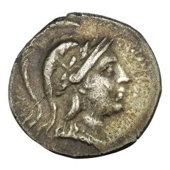 Tetradrachm - Diopeithes Zenidos