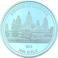 3000 Riels 2014 FIFA World Cup Brazil