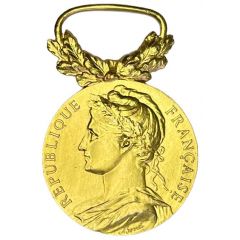 Médaille d’honneur - Ministère des Affaires sociales échelon Or