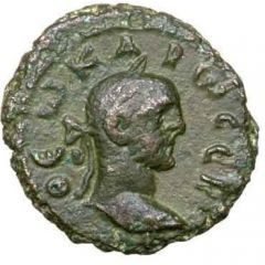 Tetradrachm - Carus Alexandria