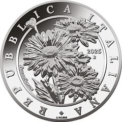 ¼ Euro The Daisy