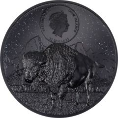 25 Dollars - Elizabeth II Theodore Roosevelt