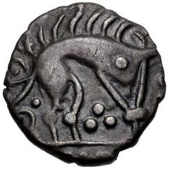 Silver Unit Norfolk Boar Triadic type