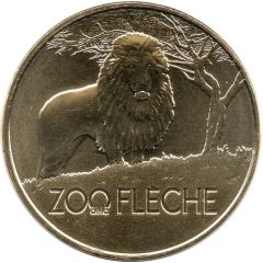 Zoo de la Flèche - Lion